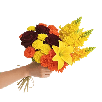 Blossom Harmony Display