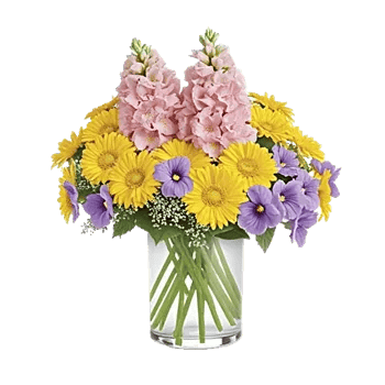 Petal Radiance Bliss