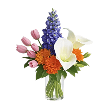 Velvet Tulip Display