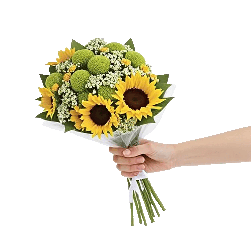 Blossom Petal Serenity