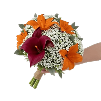 Elegant Calla Lilies