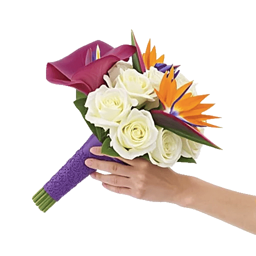 Elegant Calla Lilies