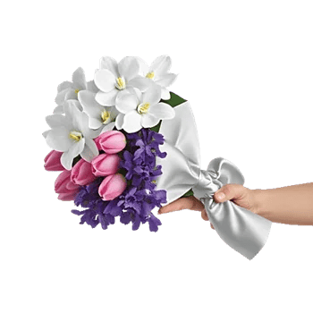 Modern White Orchids