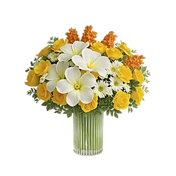 Petal Radiance Bliss