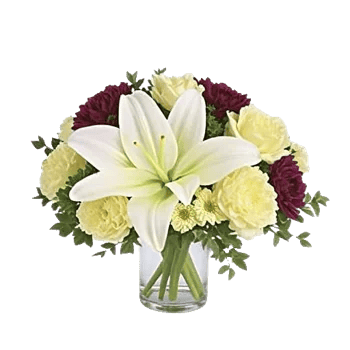 Graceful Lily Display