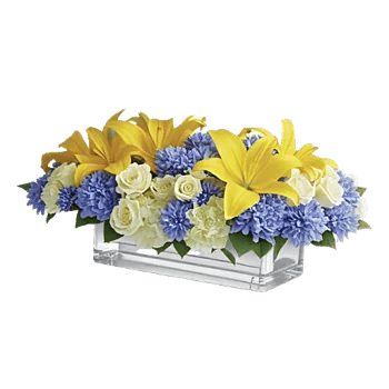 Graceful Lily Display