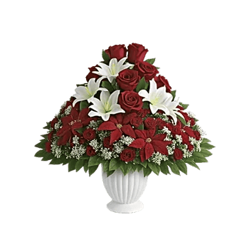 Crimson Rose Elegance