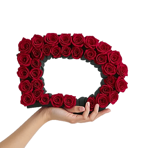 Crimson Rose Elegance