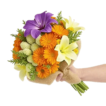 Blossom Harmony Display