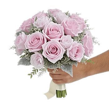 Pastel Pink Roses
