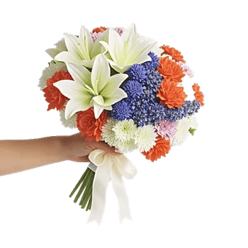 Blossom Harmony Display