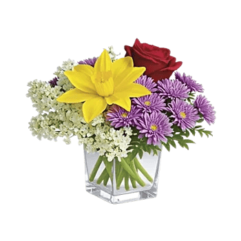 Graceful Lily Display
