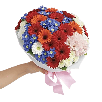 Blossom Petal Serenity