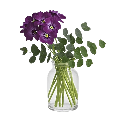 Ivory Blossom Radiance