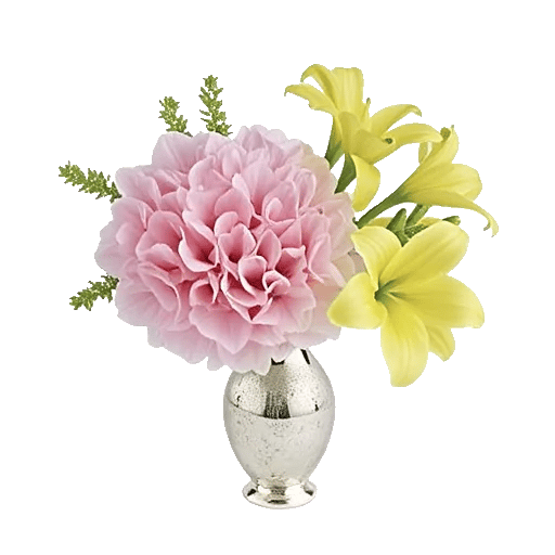 Ivory Blossom Radiance