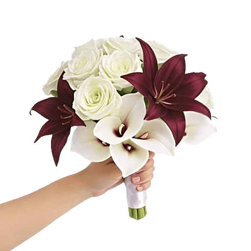 Elegant Calla Lilies