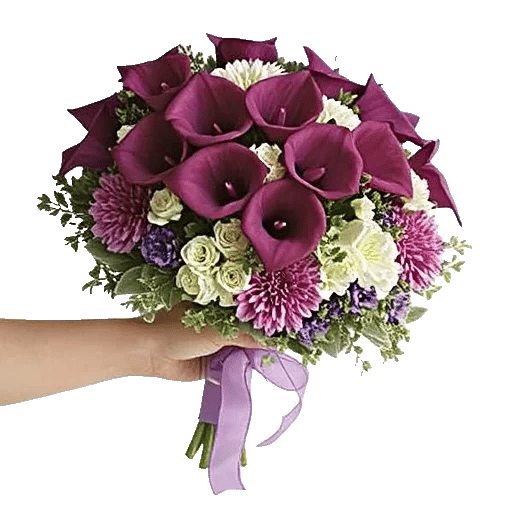 Elegant Calla Lilies