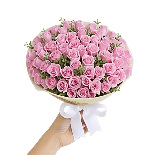 Pastel Pink Roses