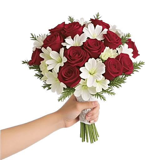 Crimson Rose Elegance