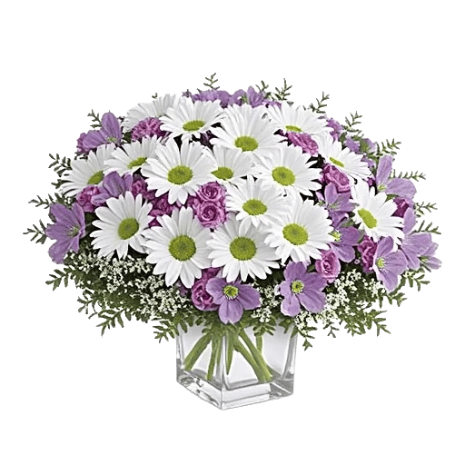 Delicate Petal Cascade