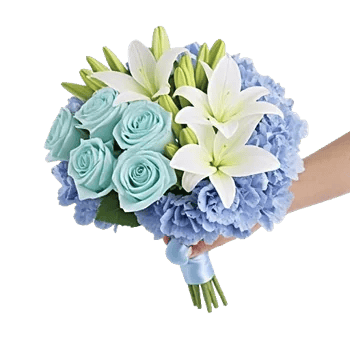 Serene Petal Harmony