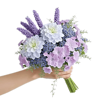 Pastel Blossom Grace