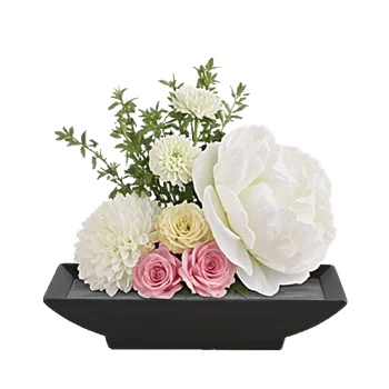 Ivory Blossom Radiance