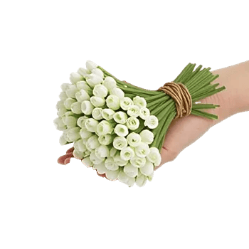 Delicate Petal Cascade