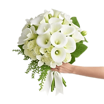 Elegant Calla Lilies