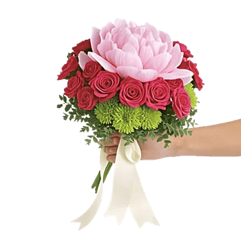 Peony Petal Harmony