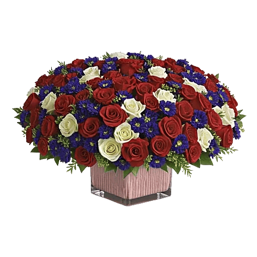 Radiant Rose Symphony