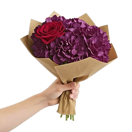 Crimson Rose Elegance