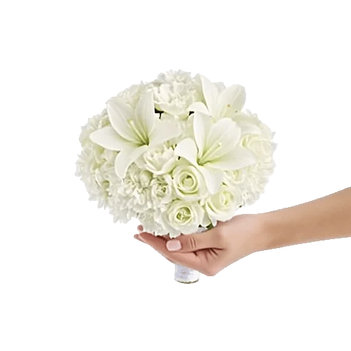 Ivory Garden Grace