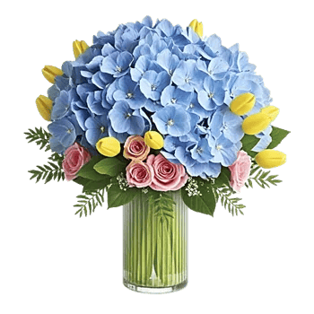 Azure Sky Blooms