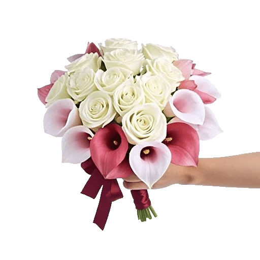 Elegant Calla Lilies