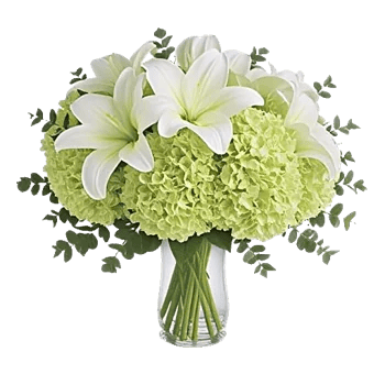 Graceful Lily Display