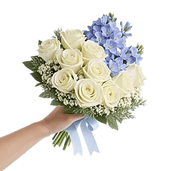 Blossom Petal Serenity