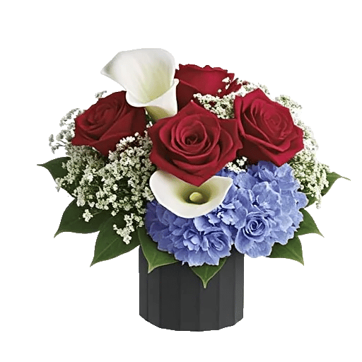 Crimson Rose Elegance