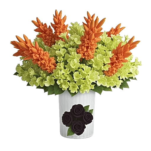 Petal Radiance Bliss