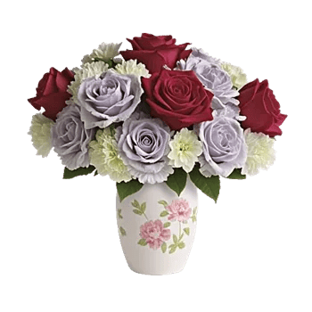 Crimson Rose Elegance