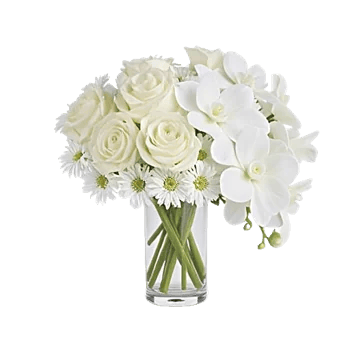 Orchid Bloom Cascade