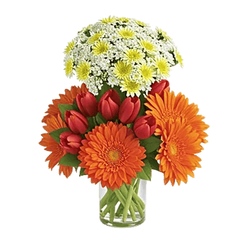 Radiant Bloom Cascade