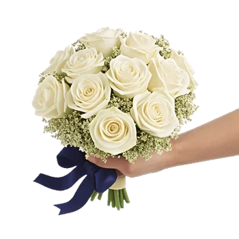 Ivory Garden Grace