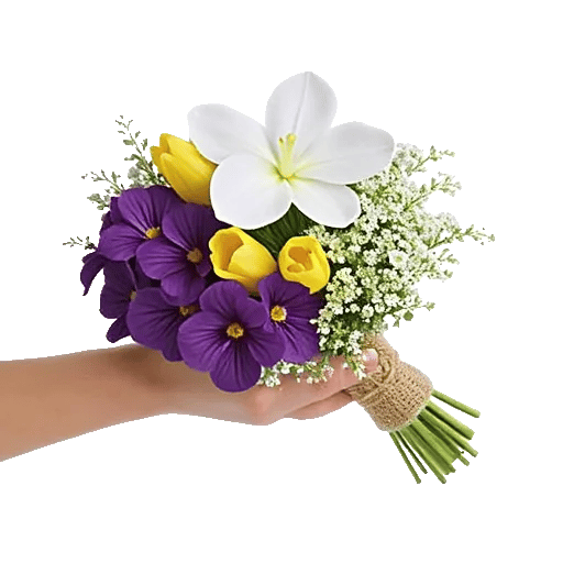 Serenity Orchid Bloom