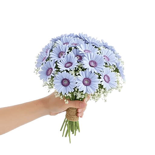 Blossom Petal Serenity