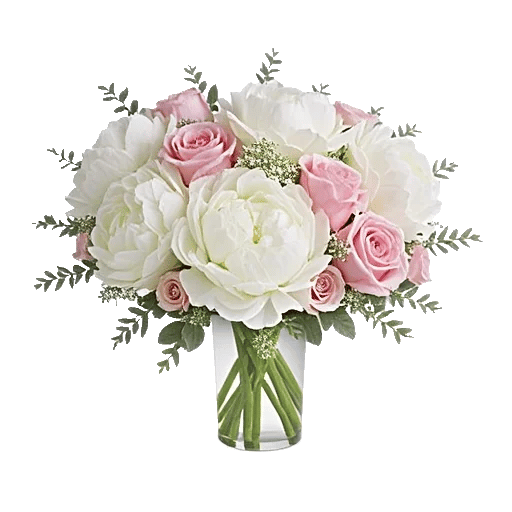 Ivory Blossom Radiance