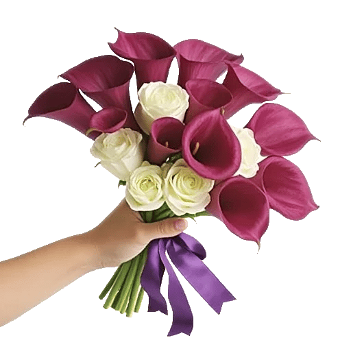 Elegant Calla Lilies