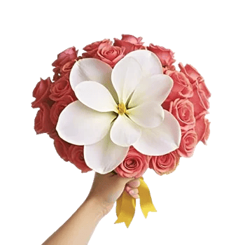 Blooming Orchard Splendor