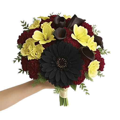 Elegant Calla Lilies