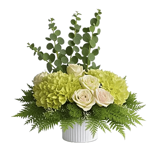 Minimalist White Orchids